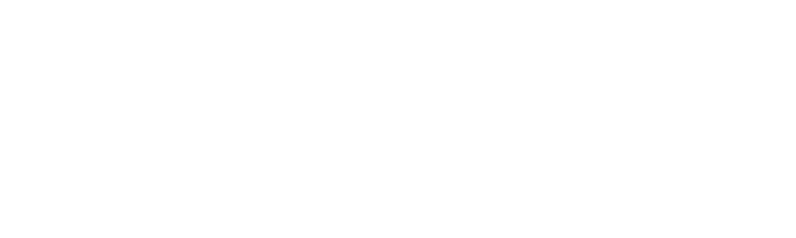 Logo Lily Molina